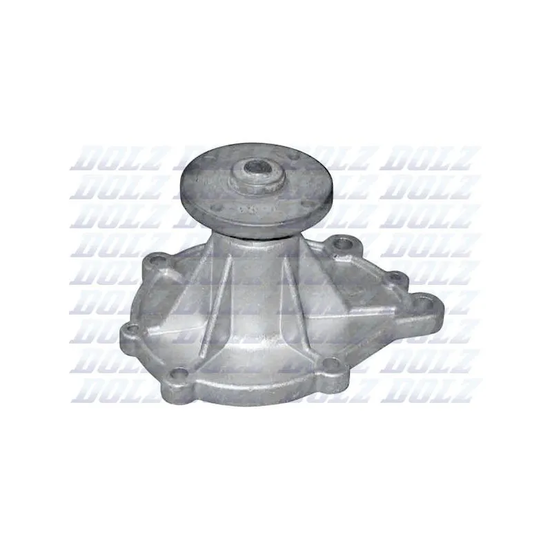 Pompe à eau DOLZ N106