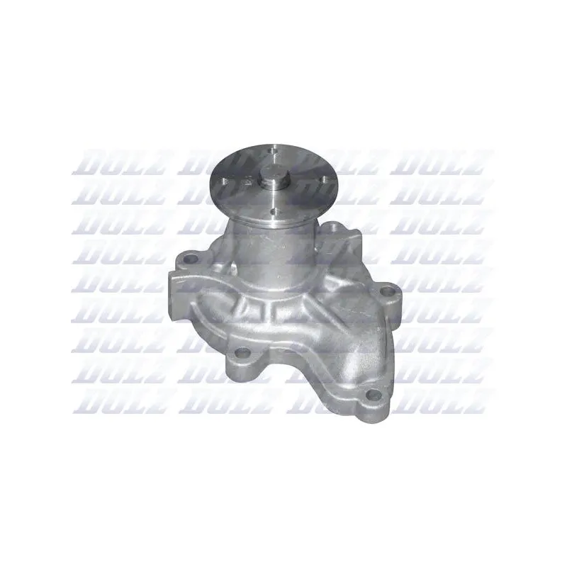 Pompe à eau DOLZ N108