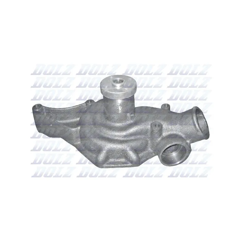 Pompe à eau DOLZ N124