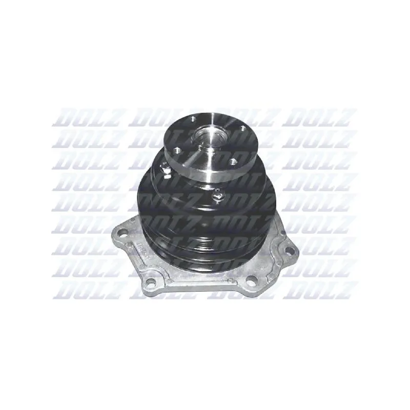 Pompe à eau DOLZ N145