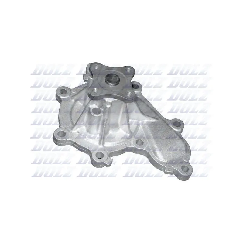 Pompe à eau DOLZ N149