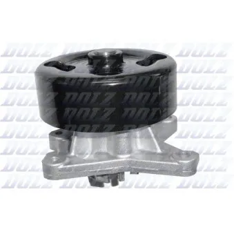 Pompe à eau DOLZ N150