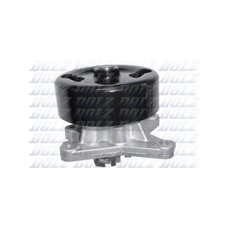Pompe à eau DOLZ N150
