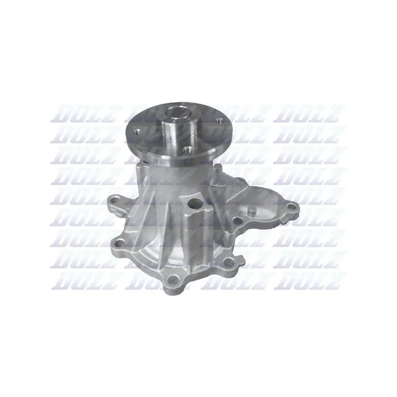 Pompe à eau DOLZ N154