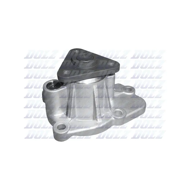 Pompe à eau DOLZ N207