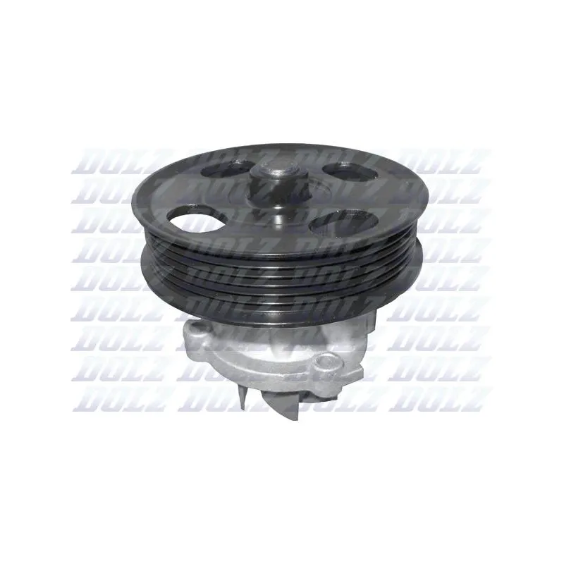 Pompe à eau DOLZ N208