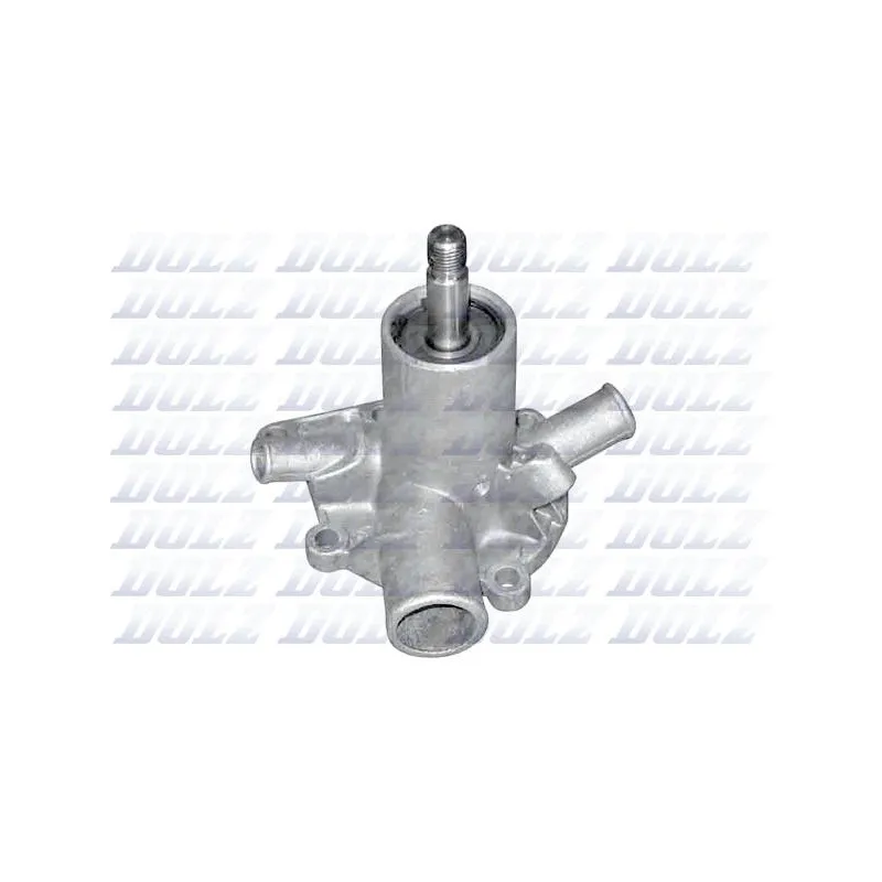 Pompe à eau DOLZ N304