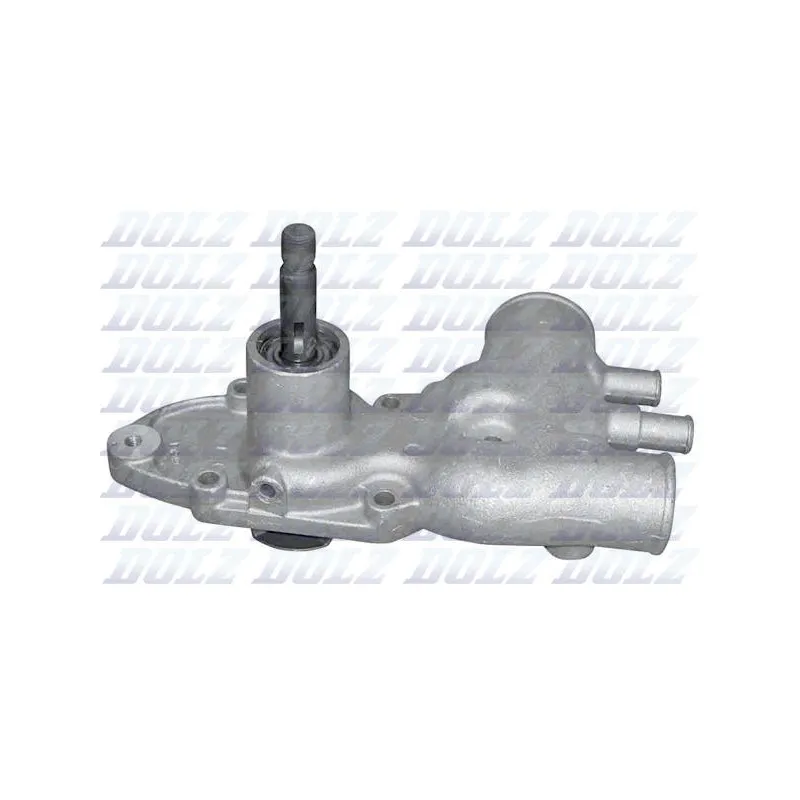 Pompe à eau DOLZ N516
