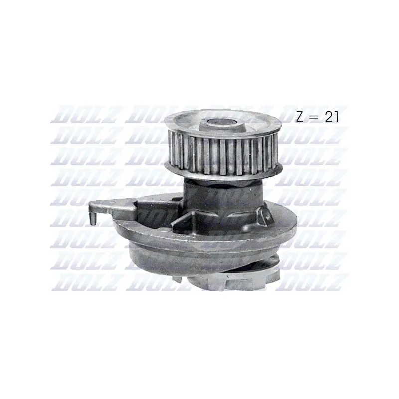 Pompe à eau DOLZ O107