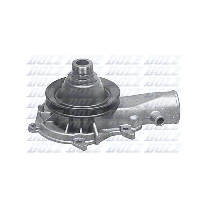 Pompe à eau DOLZ O109