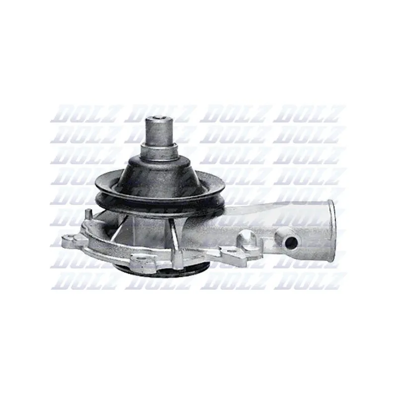 Pompe à eau DOLZ O114