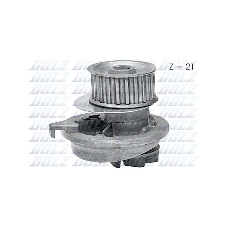 Pompe à eau DOLZ O118