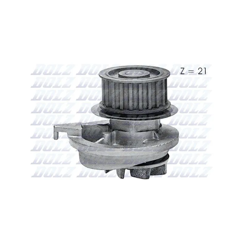 Pompe à eau DOLZ O128