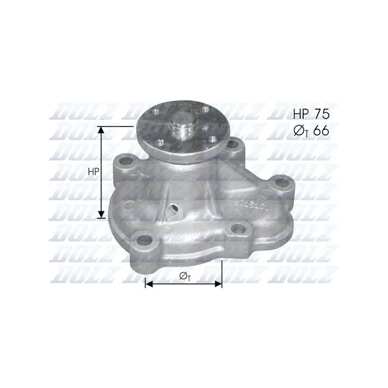 Pompe à eau DOLZ O133