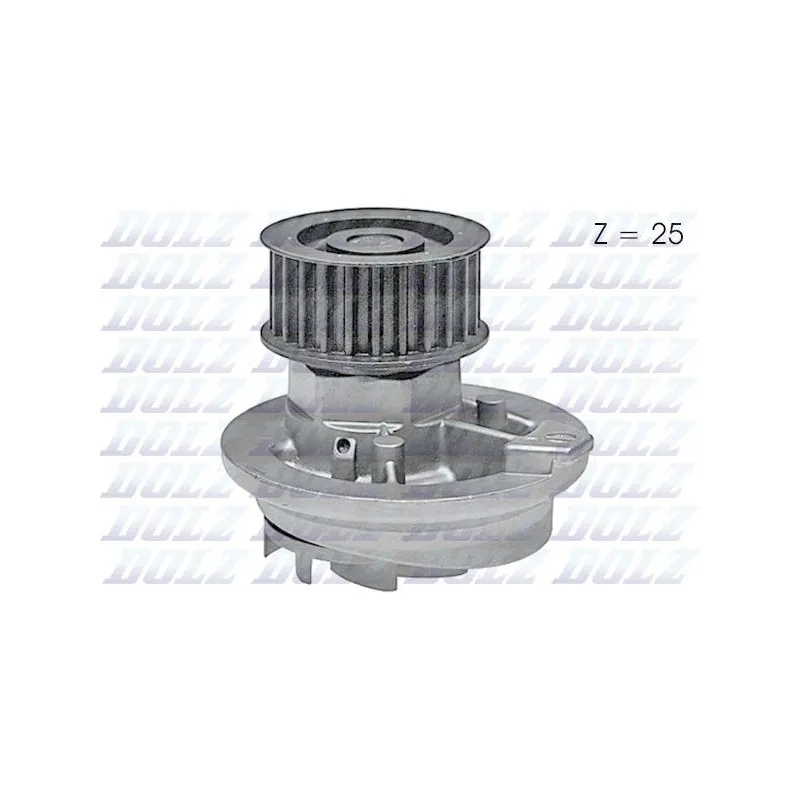 Pompe à eau DOLZ O138