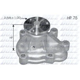 Pompe à eau DOLZ O142