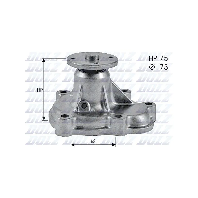 Pompe à eau DOLZ O143