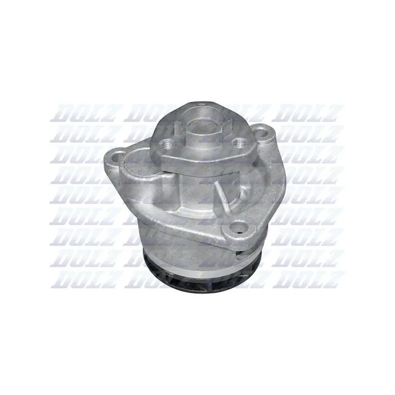 Pompe à eau DOLZ O181