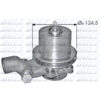Pompe à eau DOLZ P310