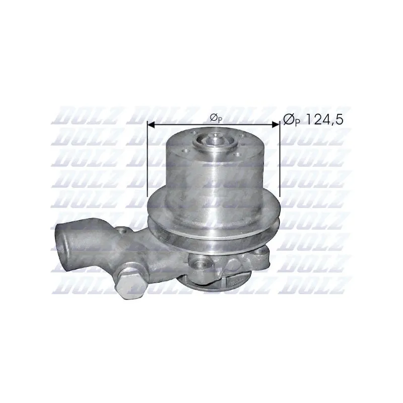 Pompe à eau DOLZ P310