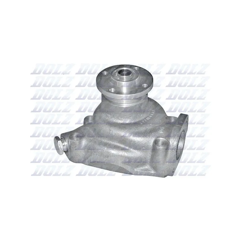 Pompe à eau DOLZ P317