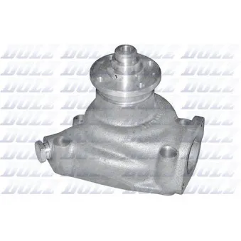 Pompe à eau DOLZ P318