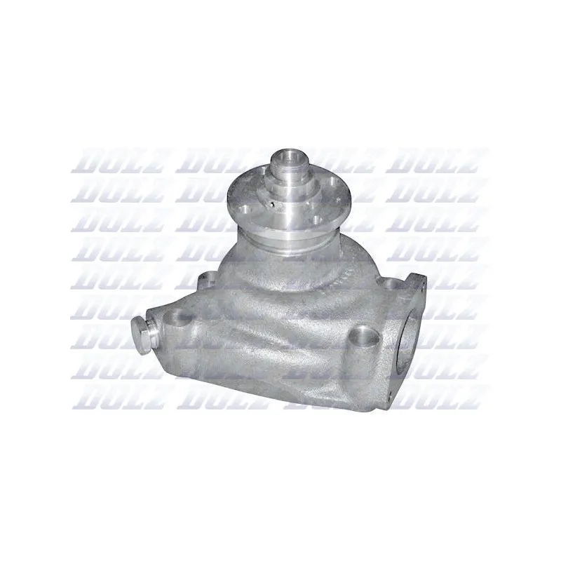 Pompe à eau DOLZ P318
