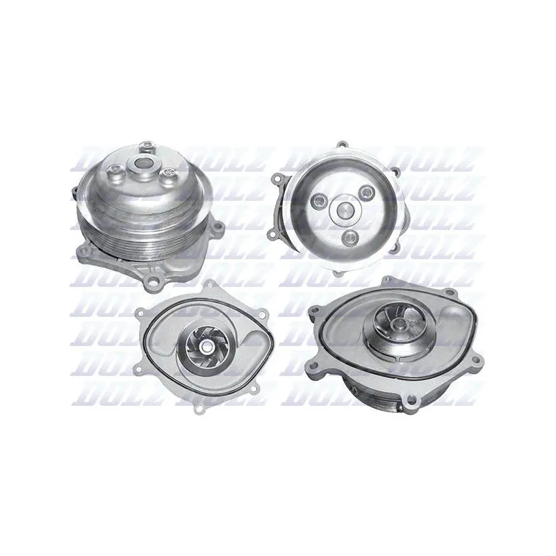 Pompe à eau DOLZ P501