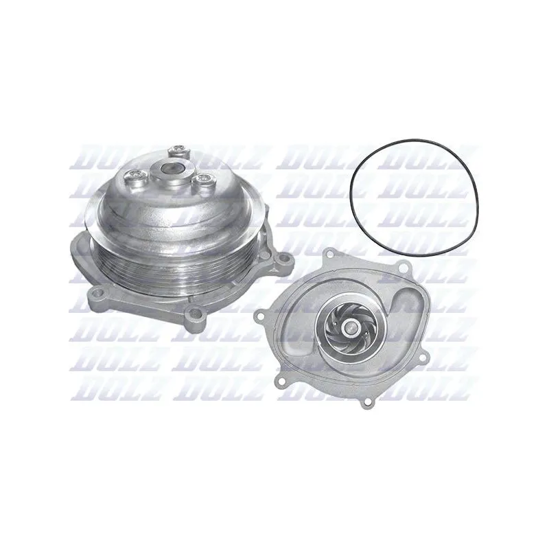 Pompe à eau DOLZ P503