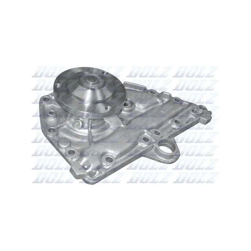 Pompe à eau DOLZ R118