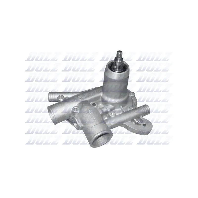 Pompe à eau DOLZ R120