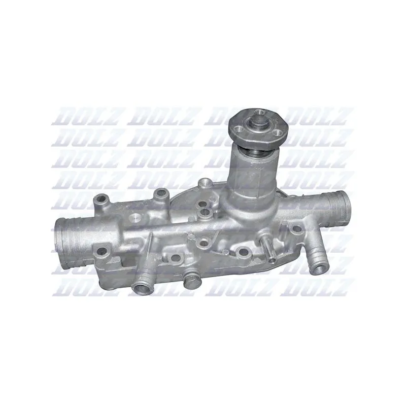 Pompe à eau DOLZ R126