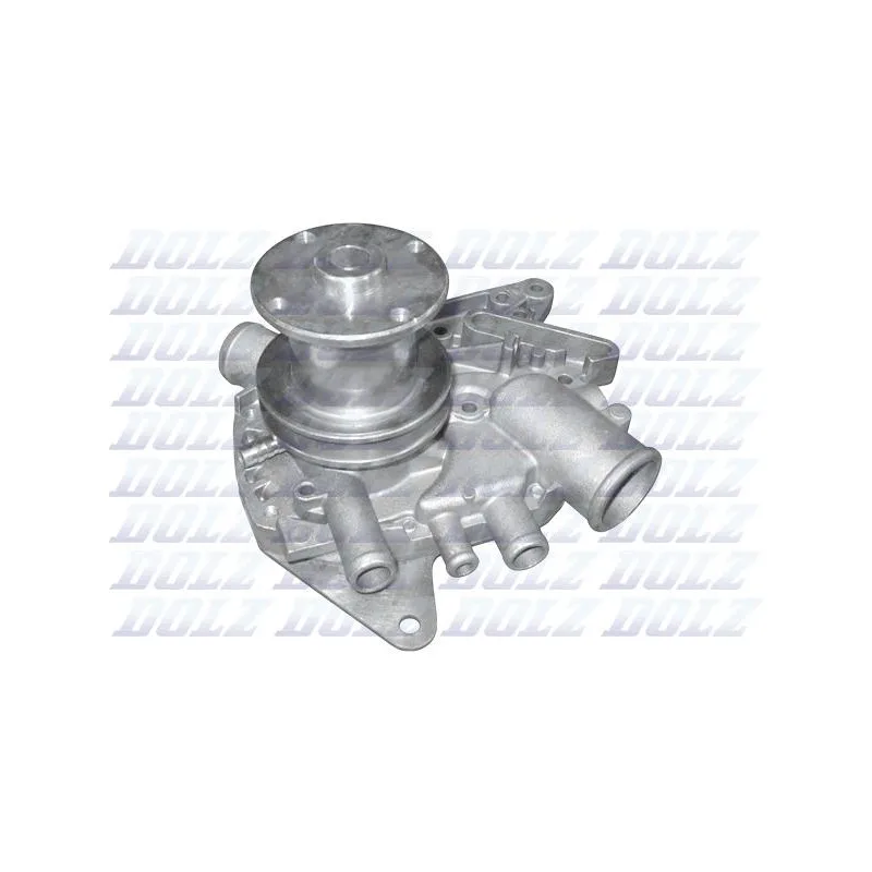 Pompe à eau DOLZ R130
