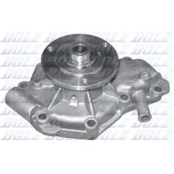Pompe à eau DOLZ R132