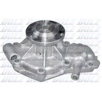 Pompe à eau DOLZ R133