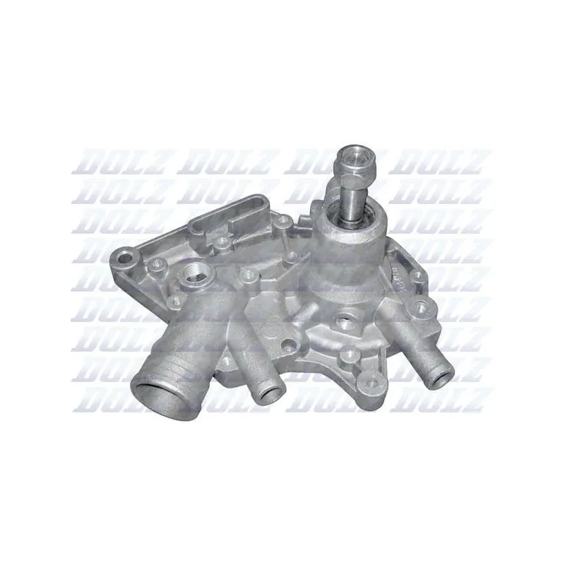 Pompe à eau DOLZ R136