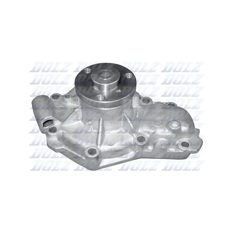 Pompe à eau DOLZ R137