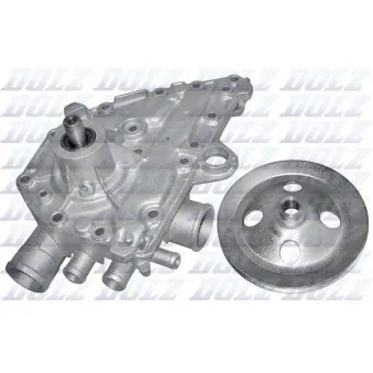 Pompe à eau DOLZ R138