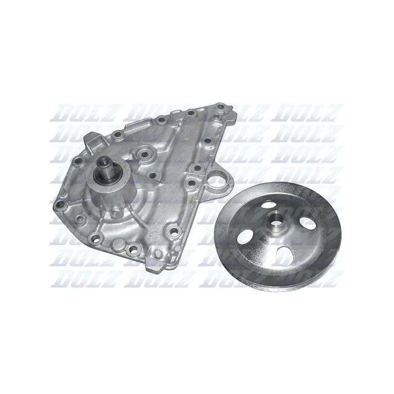 Pompe à eau DOLZ R138ST