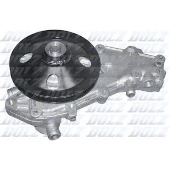Pompe à eau DOLZ R139