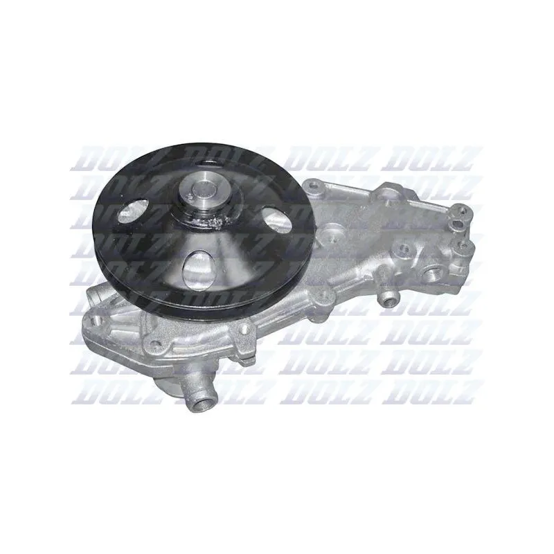 Pompe à eau DOLZ R139