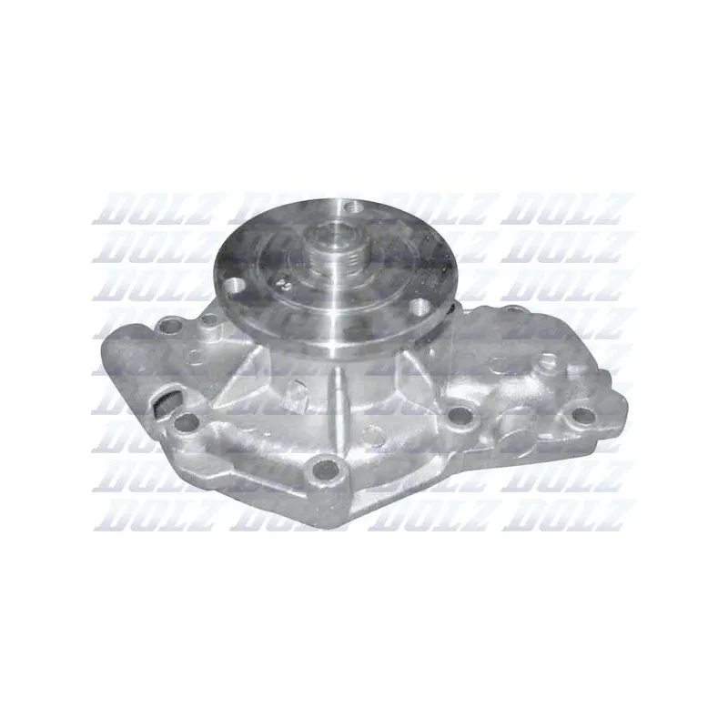 Pompe à eau DOLZ R141