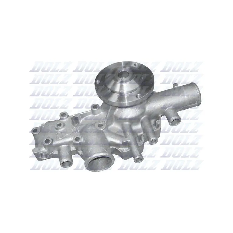 Pompe à eau DOLZ R161