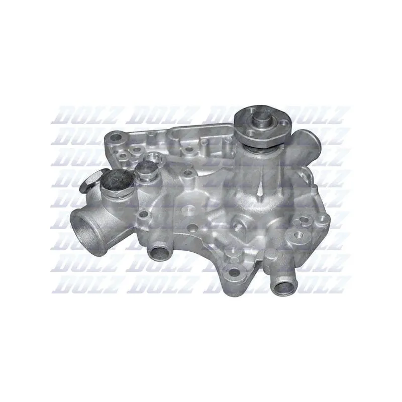 Pompe à eau DOLZ R163