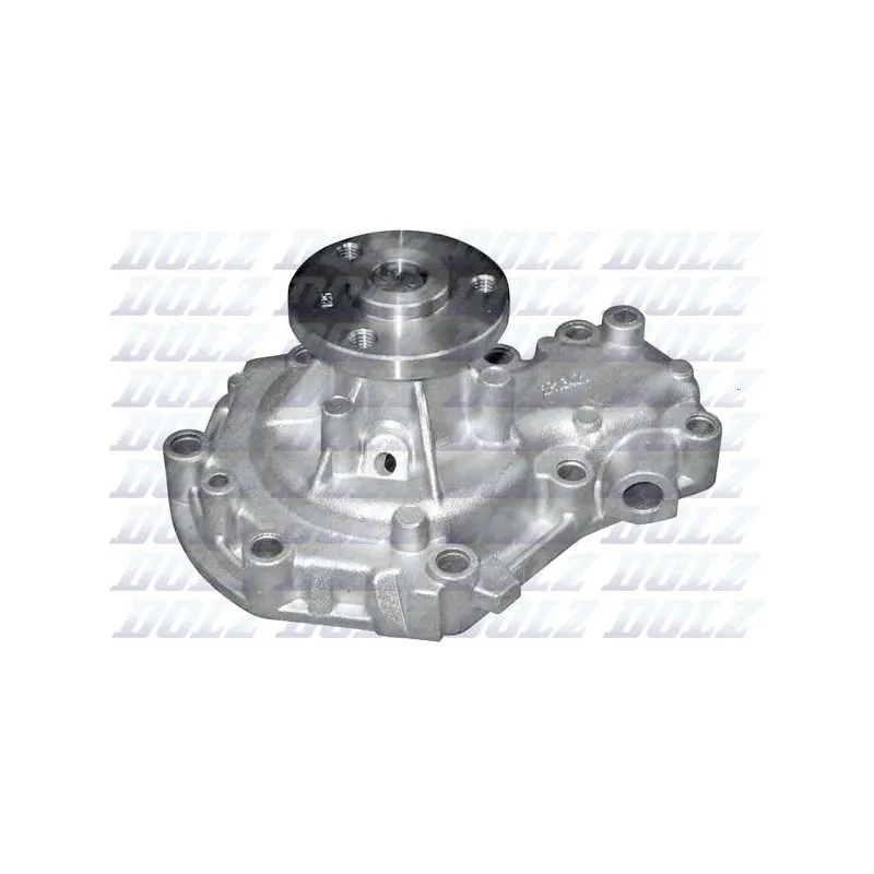 Pompe à eau DOLZ R164