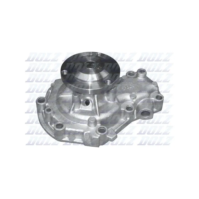 Pompe à eau DOLZ R165
