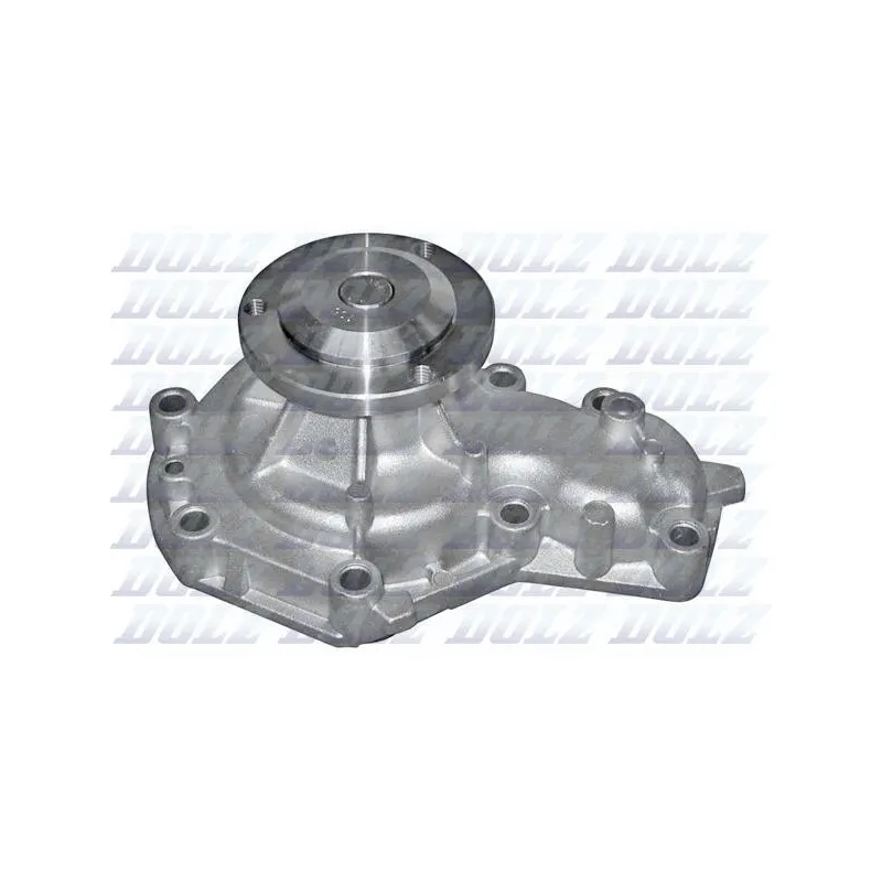 Pompe à eau DOLZ R167