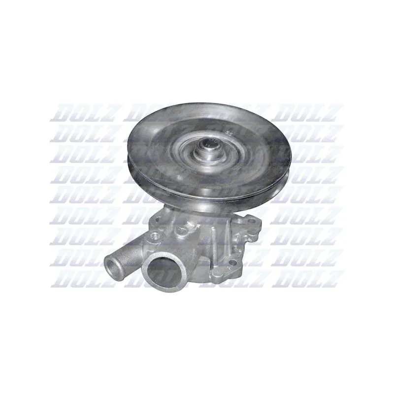 Pompe à eau DOLZ R169ST