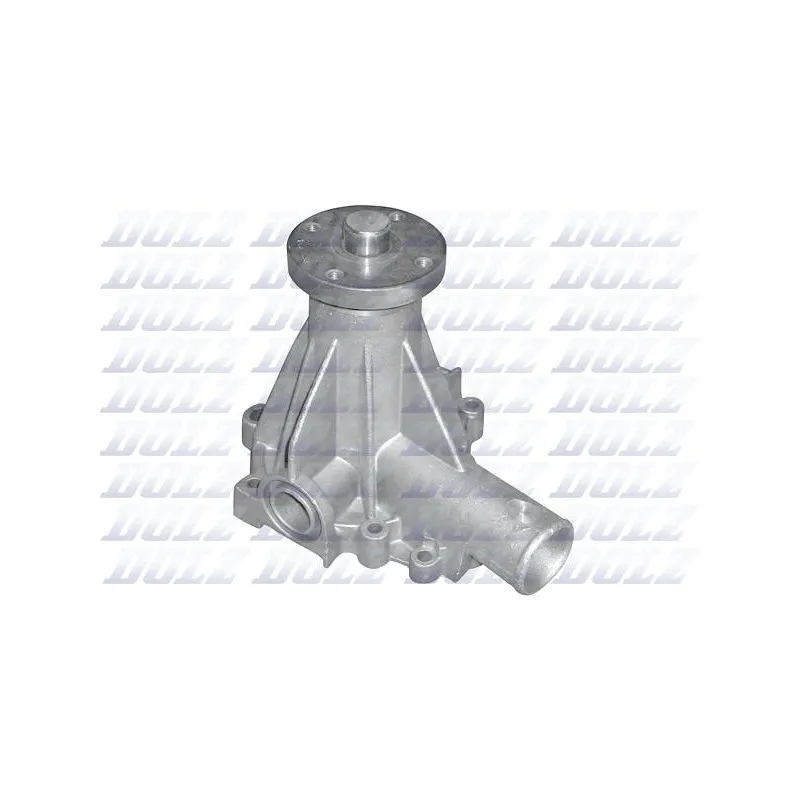 Pompe à eau DOLZ R193
