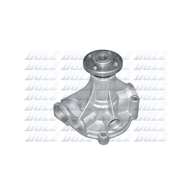 Pompe à eau DOLZ R195